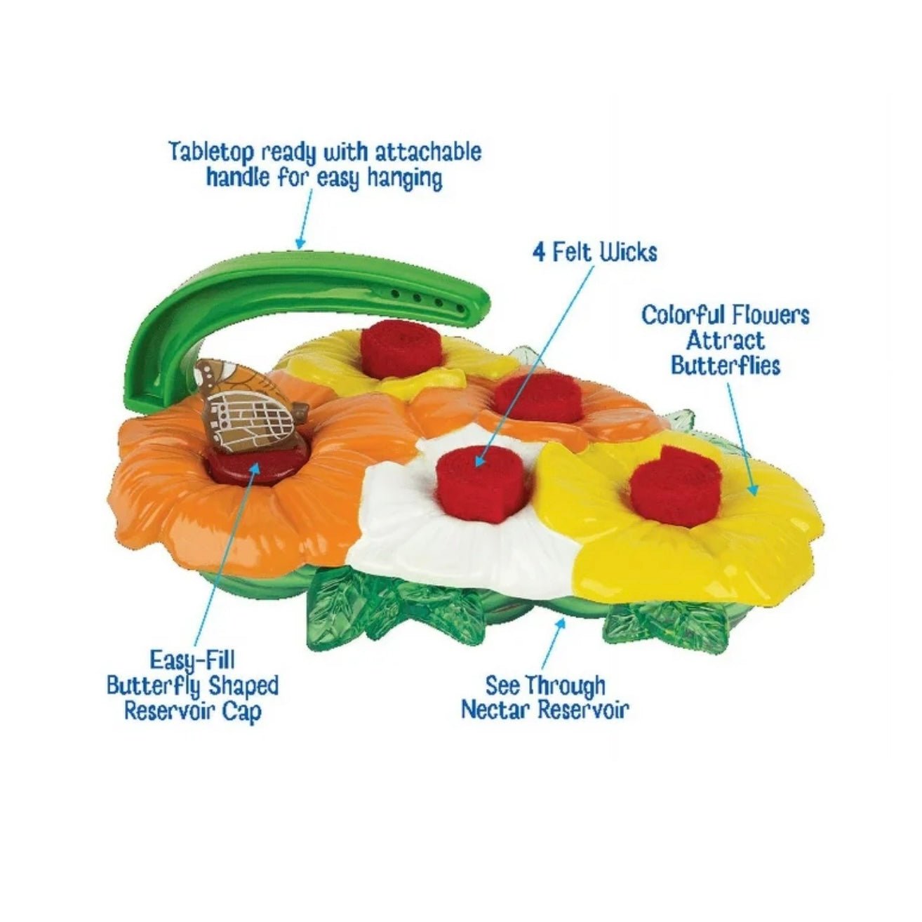 Butterfly Feeder - Curious Kids Lab