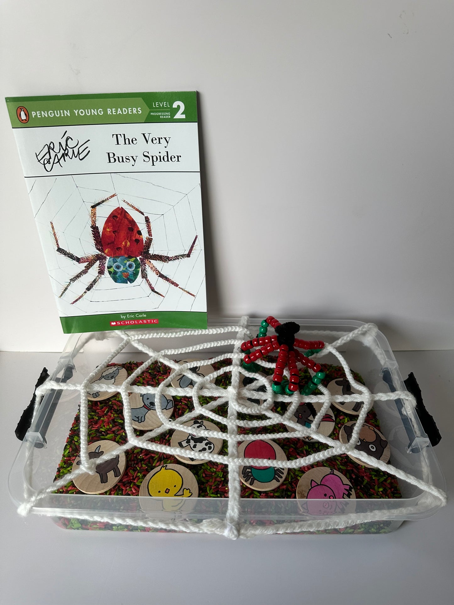 The Very Busy Spider Sensory Box