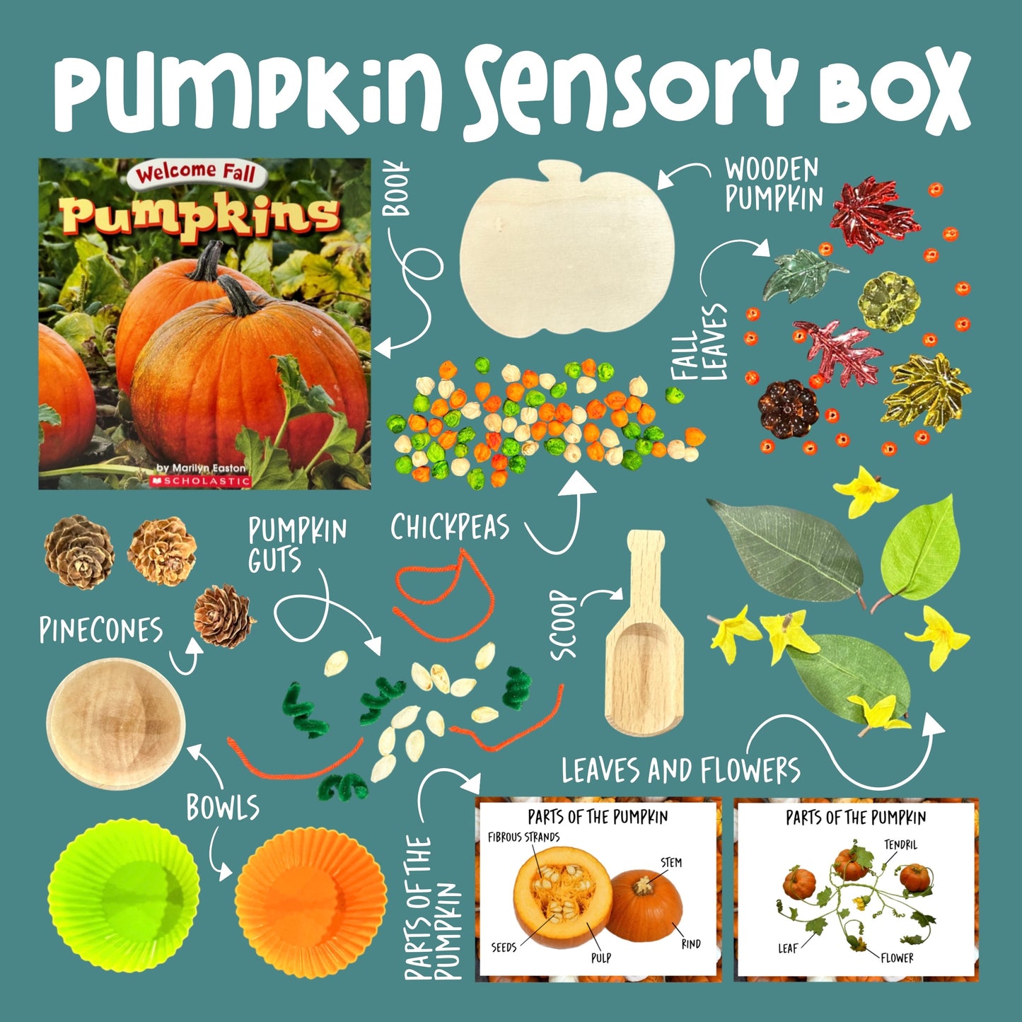 Pumpkin Sensory Box