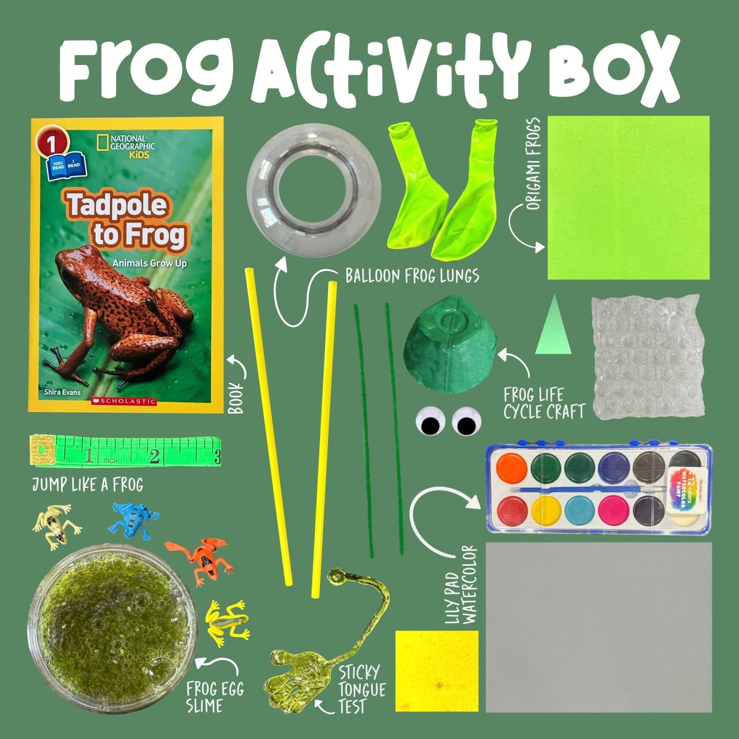 Frog Activity Box - Curious Kids Lab