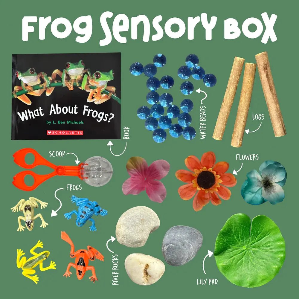 Frog Sensory Box - Curious Kids Lab