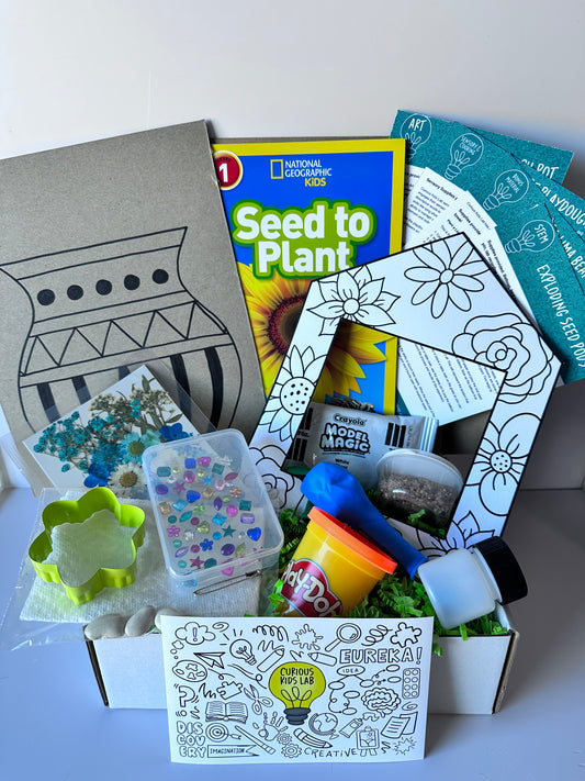 Plants Activity Box