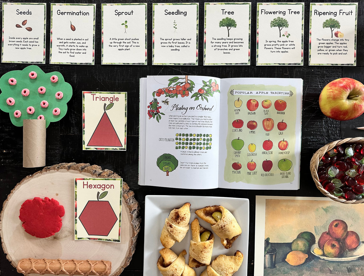 Apple Preschool Curriculum - Instant Download