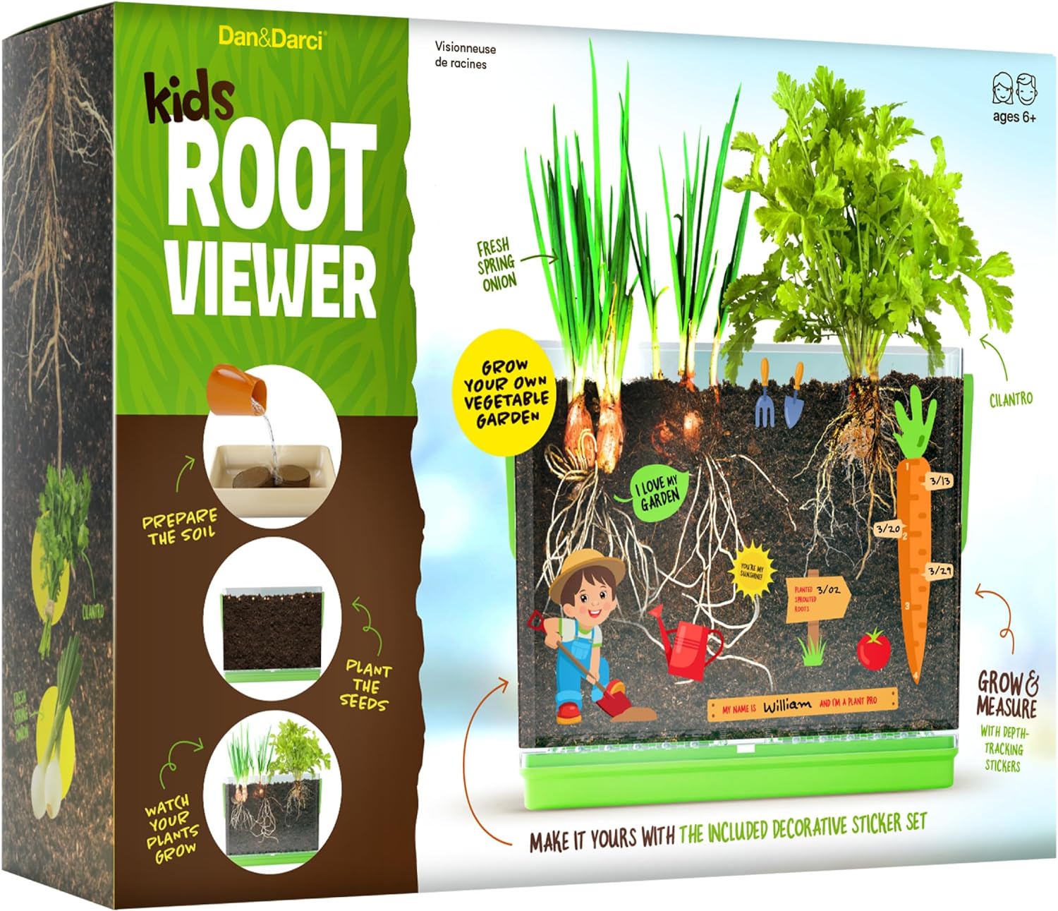 Root See Root Viewer – Curious Kids Lab