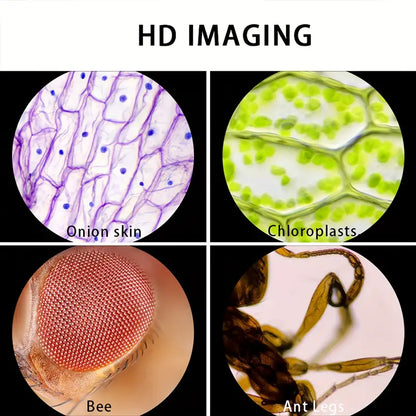 Portable Microscope