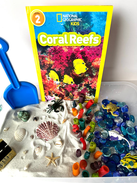 Beach Sensory Box