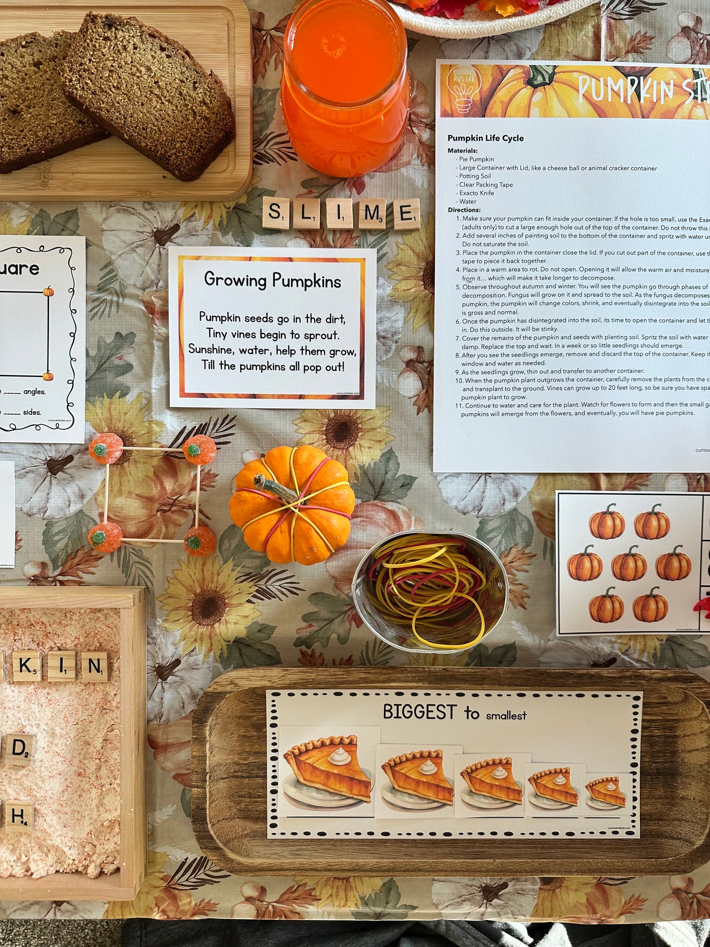 Pumpkin Preschool Curriculum - Instant Download