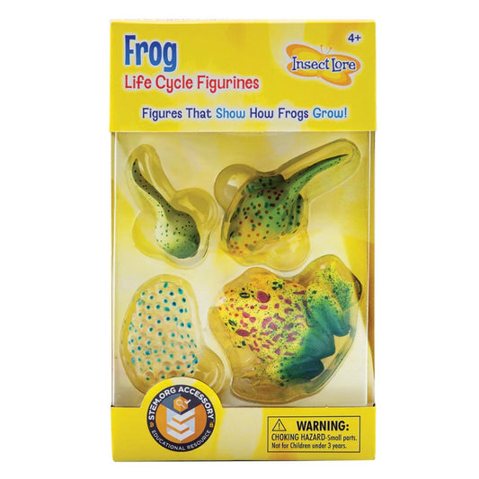 Frog Life Cycle Figurines