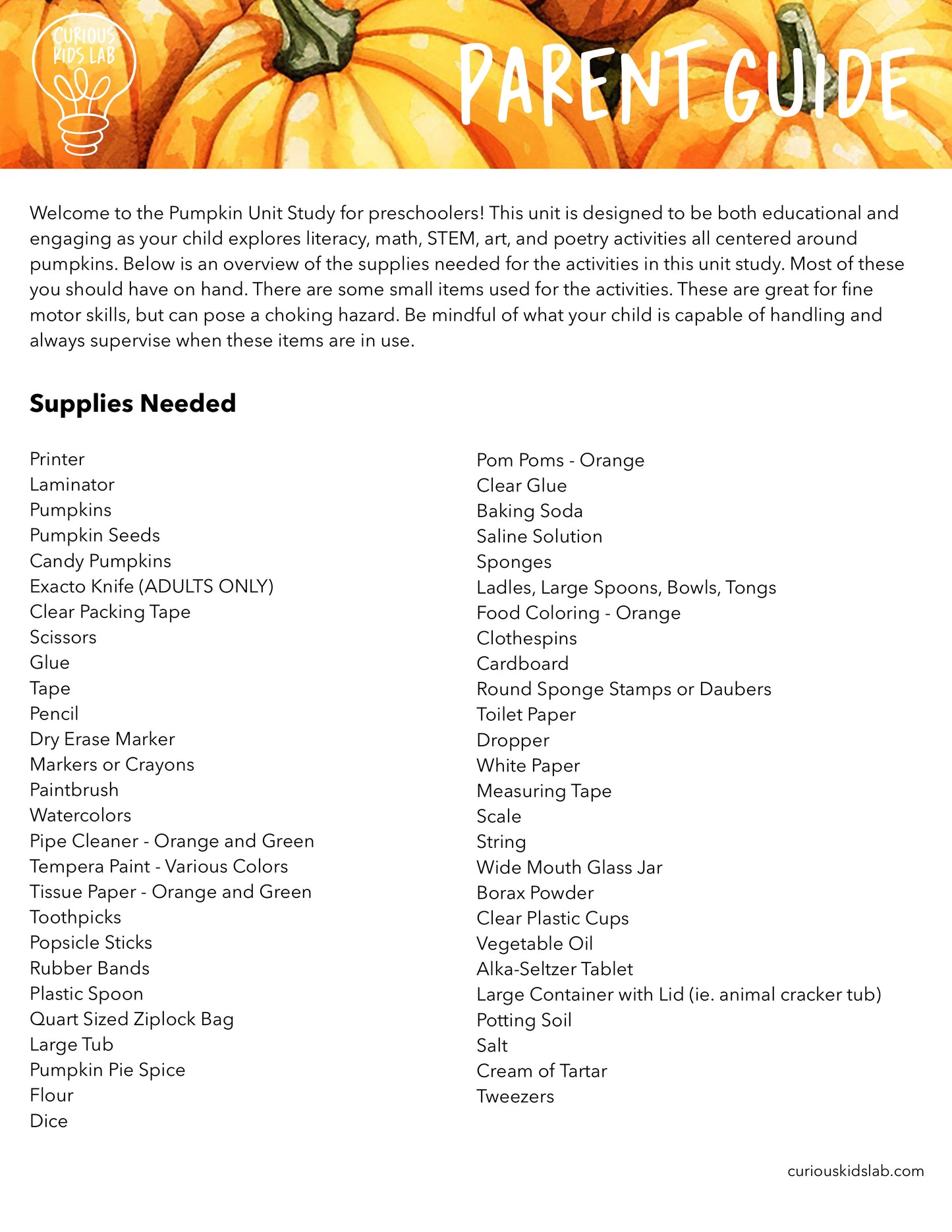 Pumpkin Preschool Curriculum - Instant Download