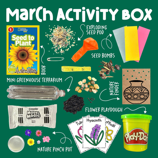 Curious Kids Lab Box Subscription