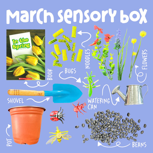 Curious Kids Lab Sensory Box Subscription