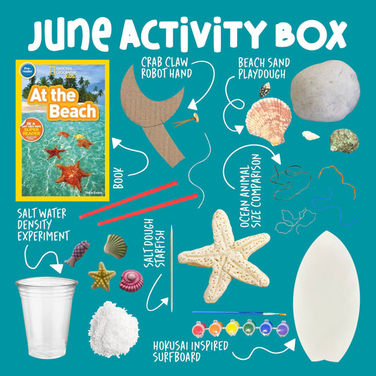 Curious Kids Lab Box Subscription