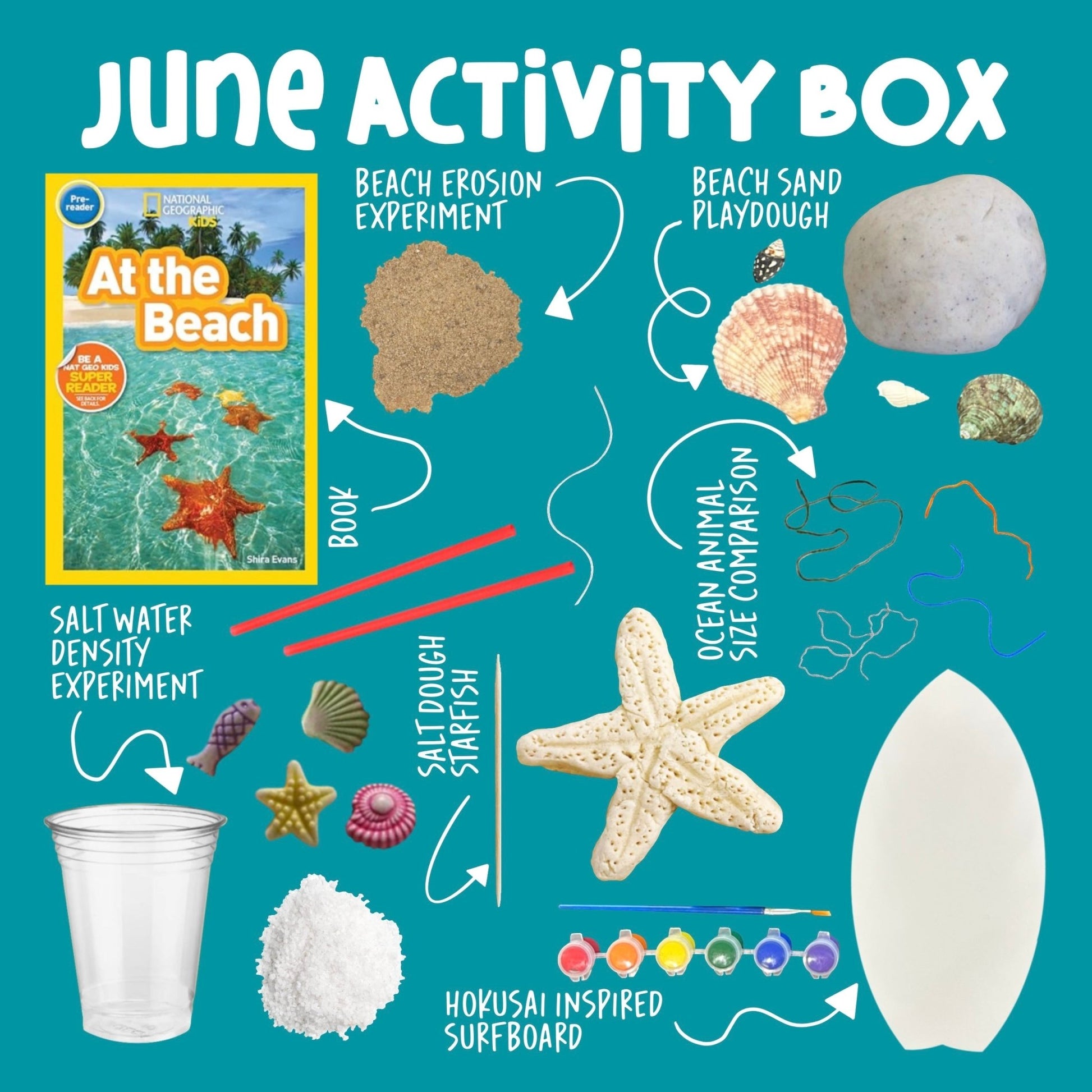 Curious Kids Lab Box Subscription - Curious Kids Lab
