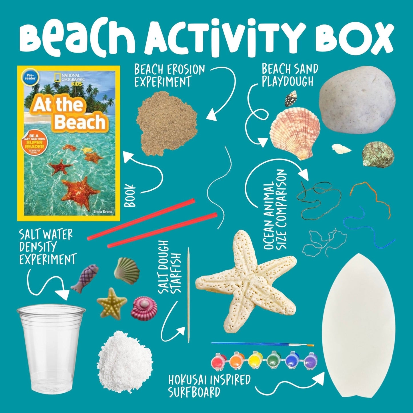 Beach Activity Box - Curious Kids Lab
