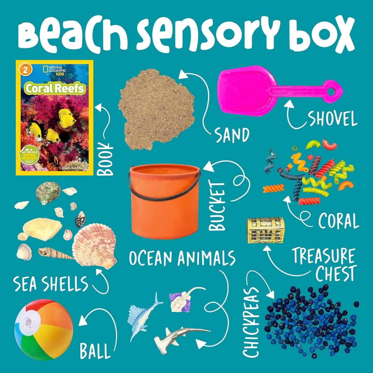 Beach Sensory Box - Curious Kids Lab