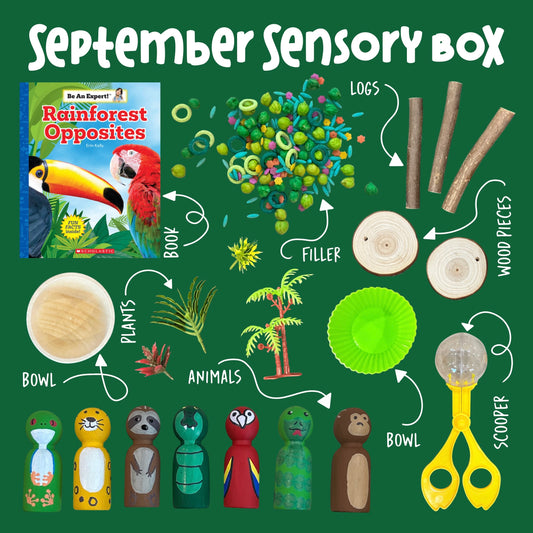Curious Kids Lab Sensory Box Subscription