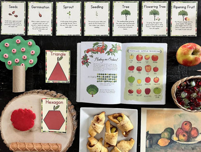Apple Preschool Curriculum - Instant Download - Curious Kids Lab