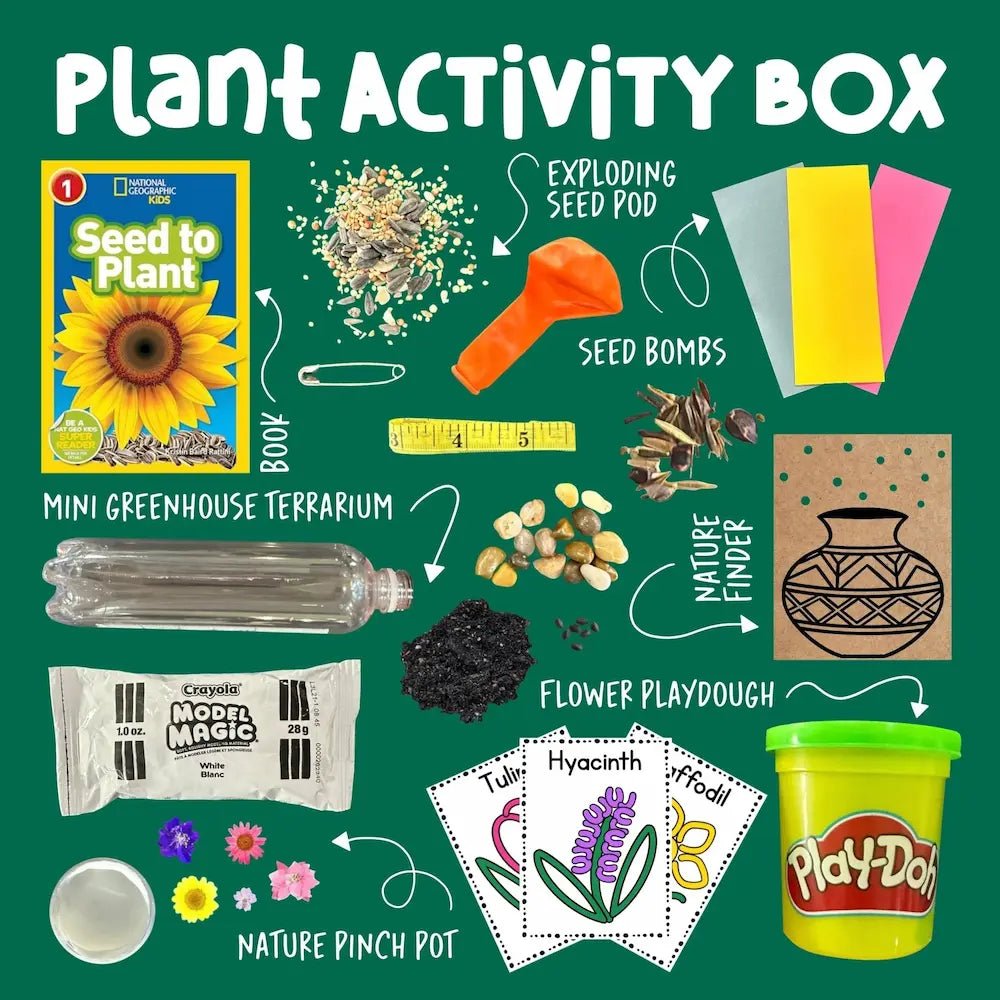 Plants Activity Box - Curious Kids Lab