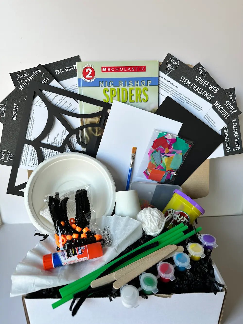 Spider Activity Box - Curious Kids Lab