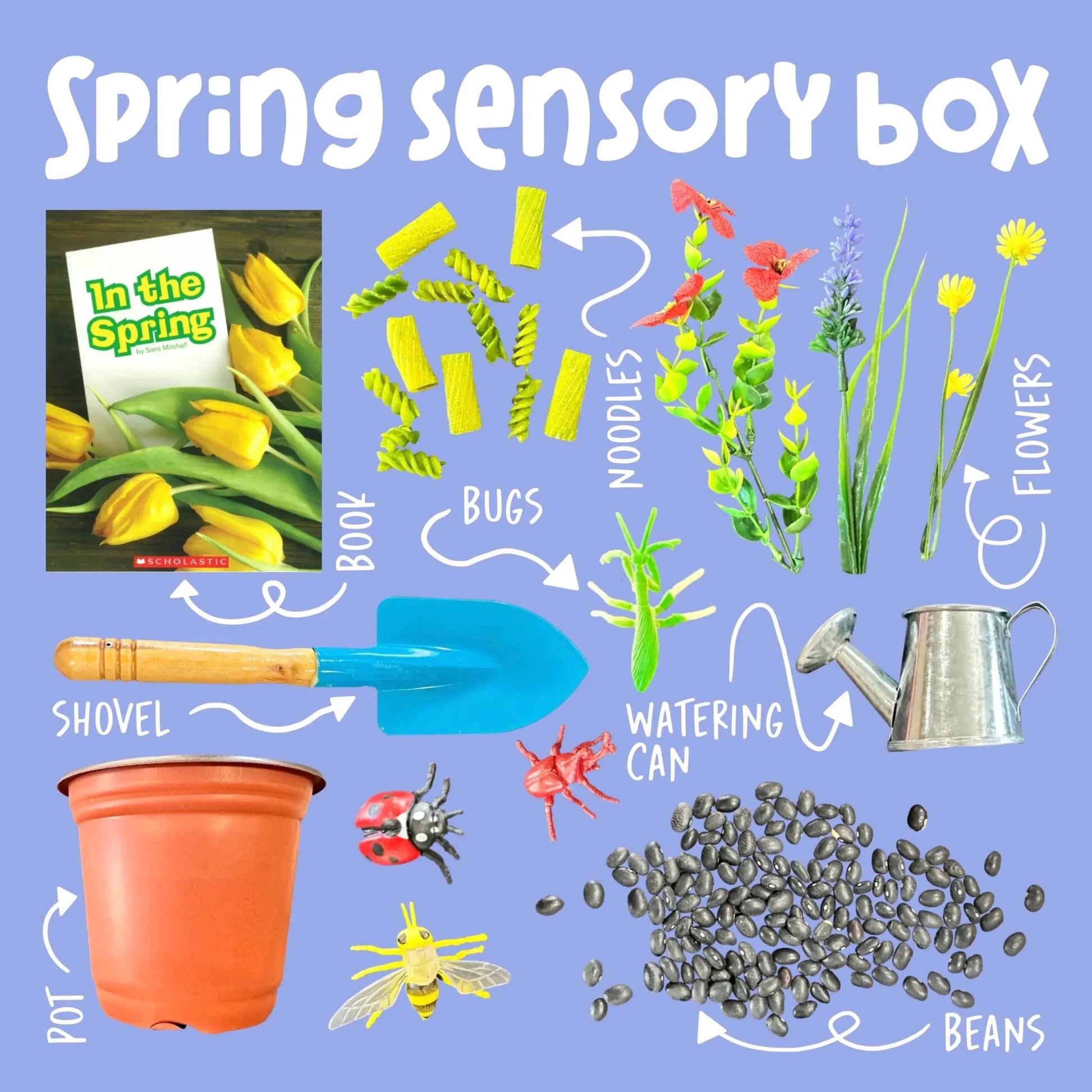 Spring sensory box with various items including flowers, shovel, beans, etc. on a blue background